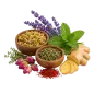 گیاهان دارویی و سنتی چاشینکو