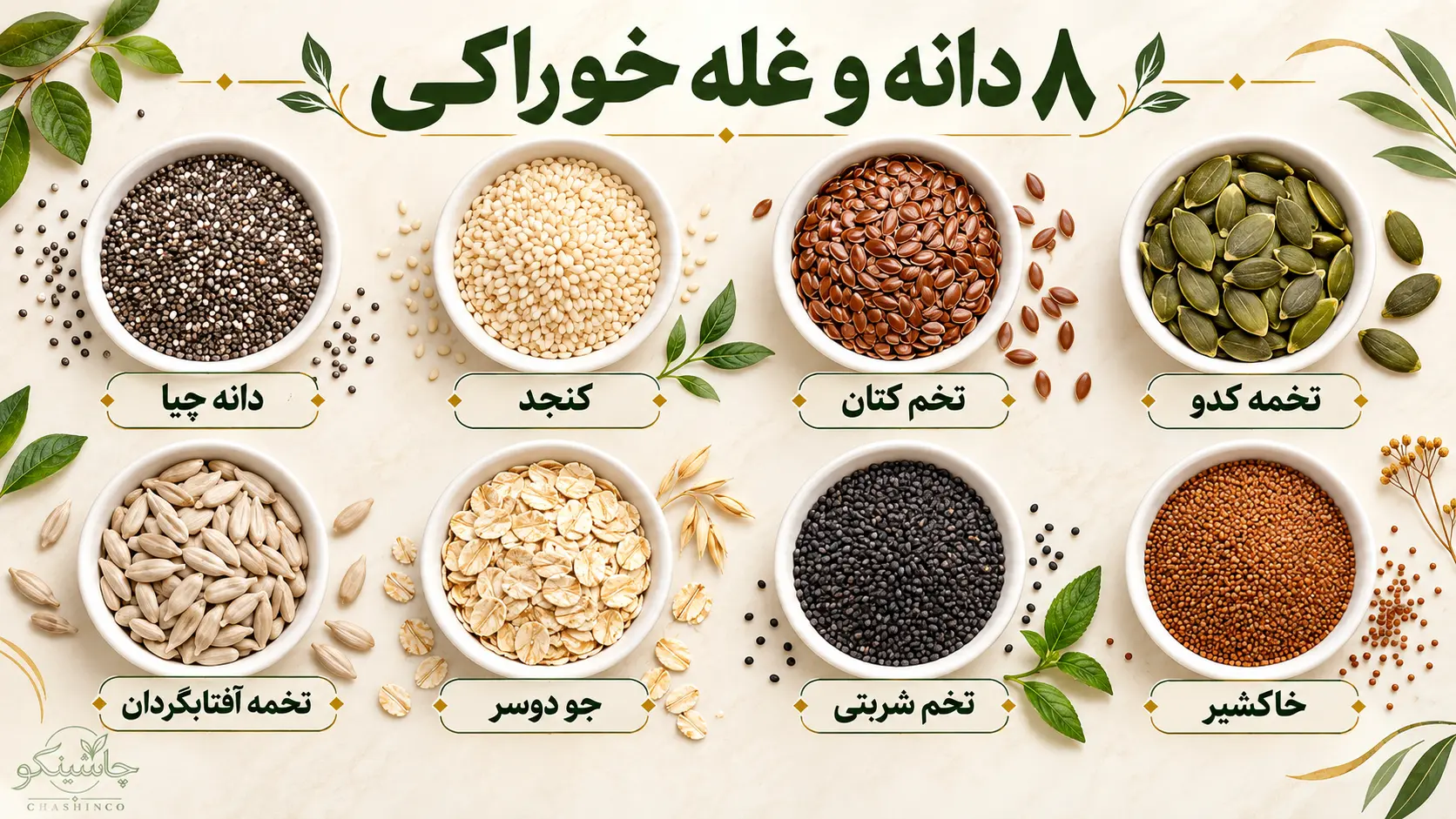 اینفوگرافیک هشت دانه و غله خوراکی شامل چیا، کنجد، تخم کتان، تخمه کدو، تخمه آفتابگردان، جو دوسر، تخم شربتی و خاکشیر
